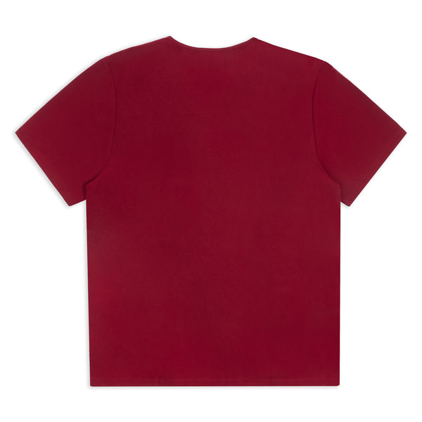 Mens Burgundy Top