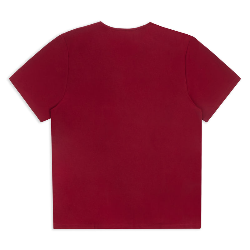 Mens Burgundy Top